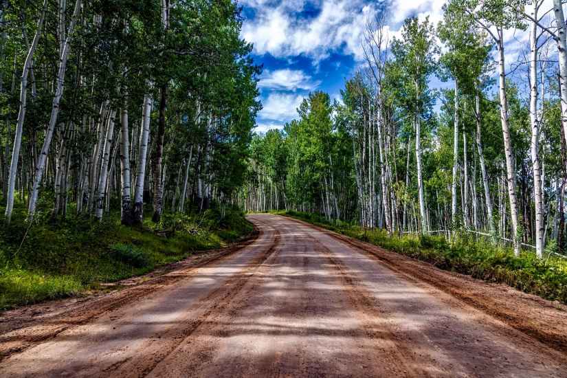 aspens country countryside dirt road
