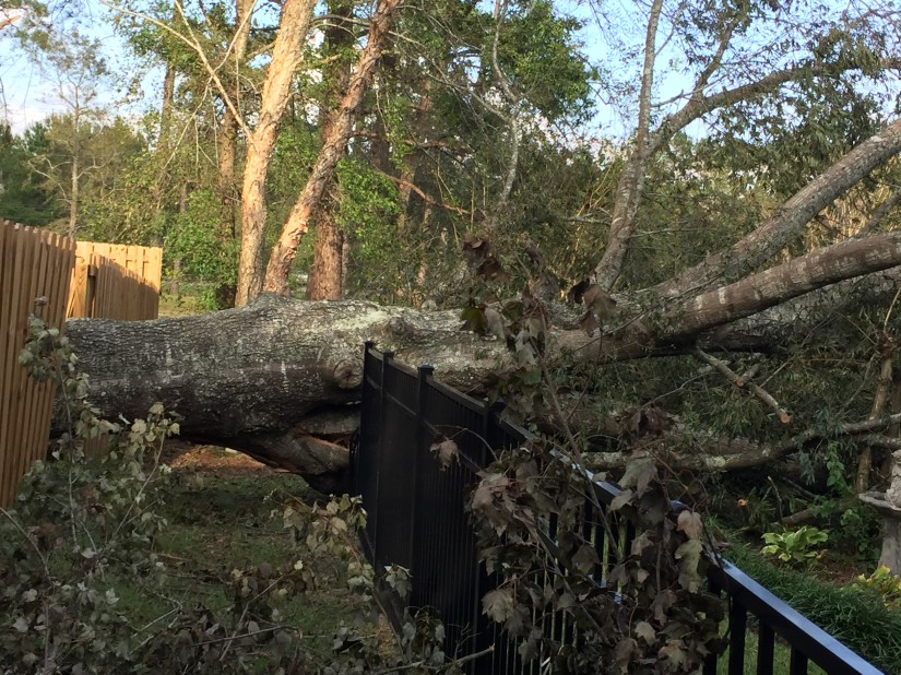 2018-09-18_17-35-04_415