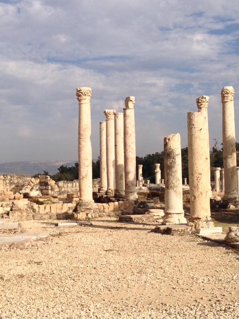 IMG_1537.2013-12-25_115154