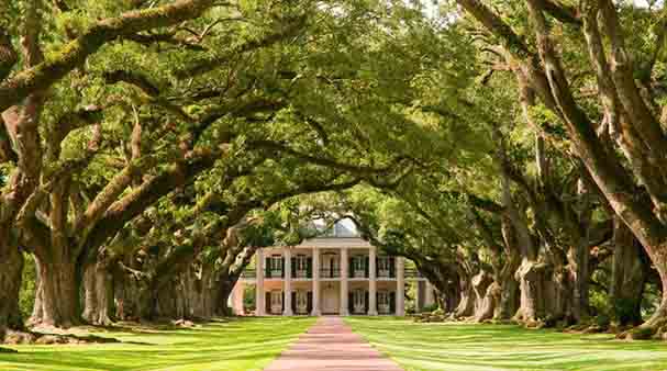 oak alley