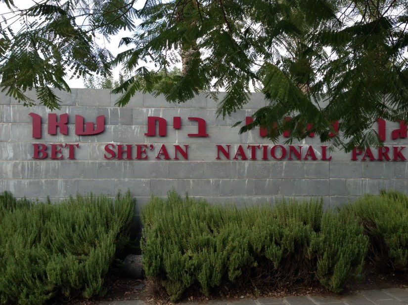 IMG_1592.2013-12-25_131529